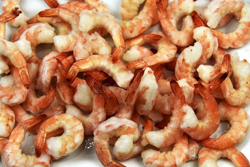 Jumbo Shrimp Closeup stock photo. Image of seafood, steamed 55317586