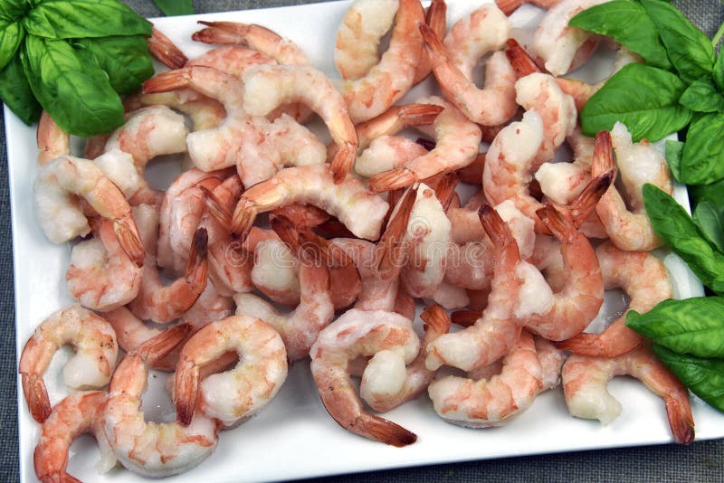 Jumbo Shrimp with Fresh Basil Stock Photo Image of market, cold 55317568