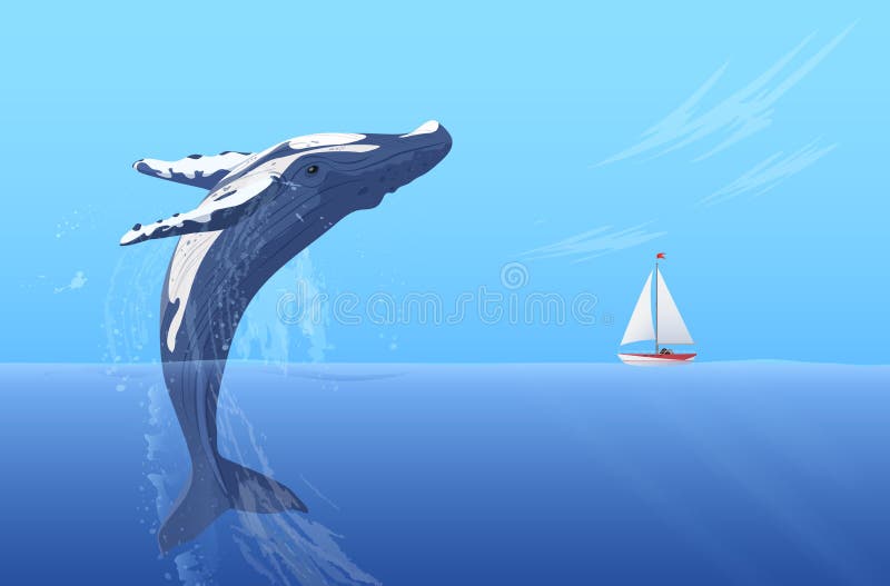 Jump Humpback Big Huge Whale Near Small Boat Ship Yacht 