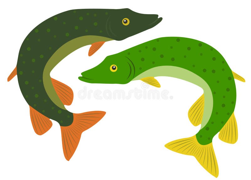 Jumping pike green in the set stock illustration