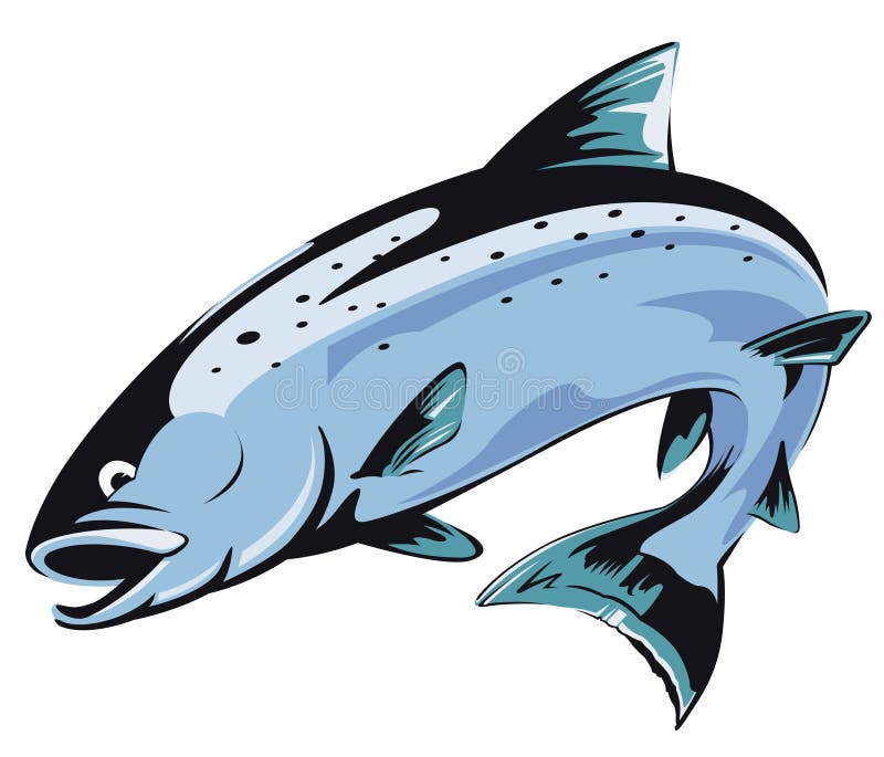 Jumping salmon stock illustration. Illustration of fish 10284256