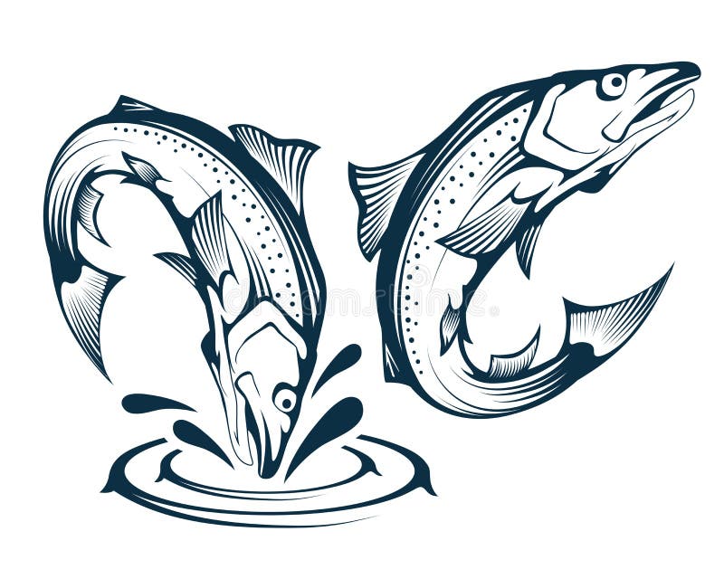 Salmon Fish And Meal Vector Vector Art & Graphics, fish fillet vector 