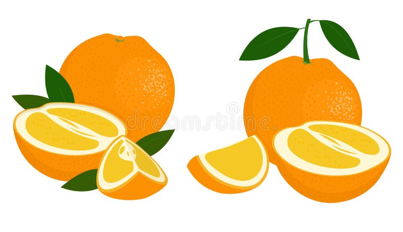 Jumătate întreagă de portocale și felie de portocale cu frunze pe fond alb. citrice. ilustrarea vectorială a portocalelor pe vector illustration