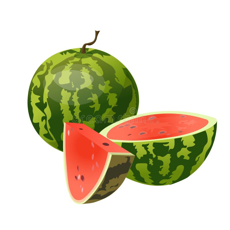 Jumătate întreagă și felie de pepene verde vector illustration