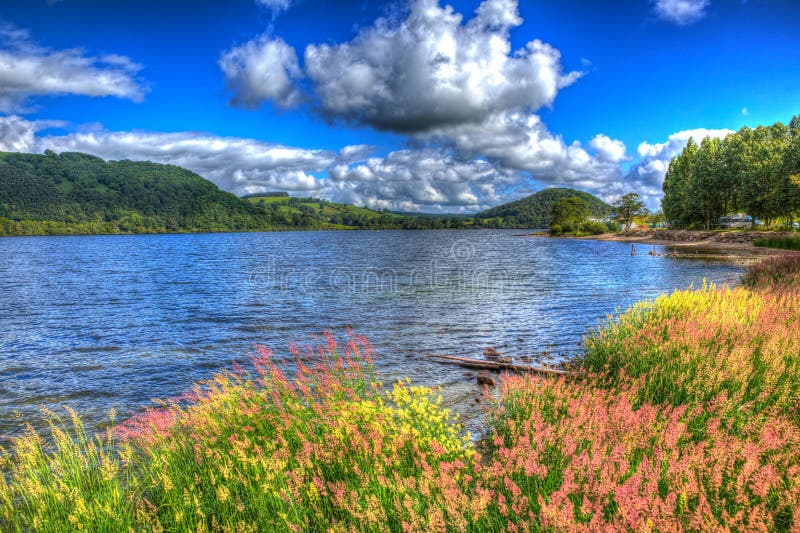 Juncos e gramas coloridos por Ullswater o distrito Cumbria Inglaterra Reino Unido do lago com cloudscape HDR