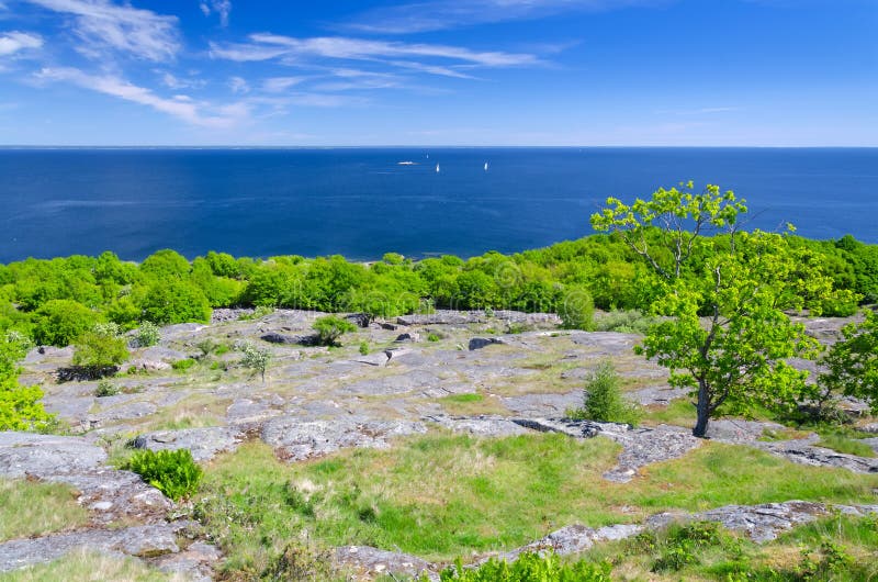 June on Swedish coast royalty free stock images