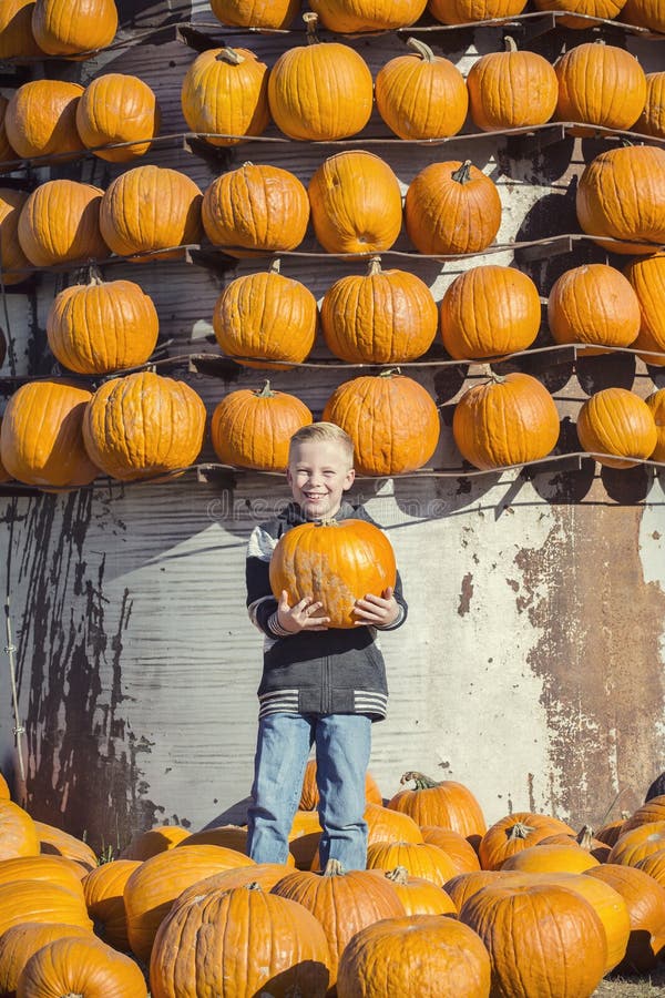 Junge, der einen Halloween-Kürbis an einem Kürbisfleckenbauernhof hält lizenzfreie stockbilder Junge, der einen Halloween-Kürbis an einem Kürbisfleckenbauernhof hält lizenzfreie stockbilder