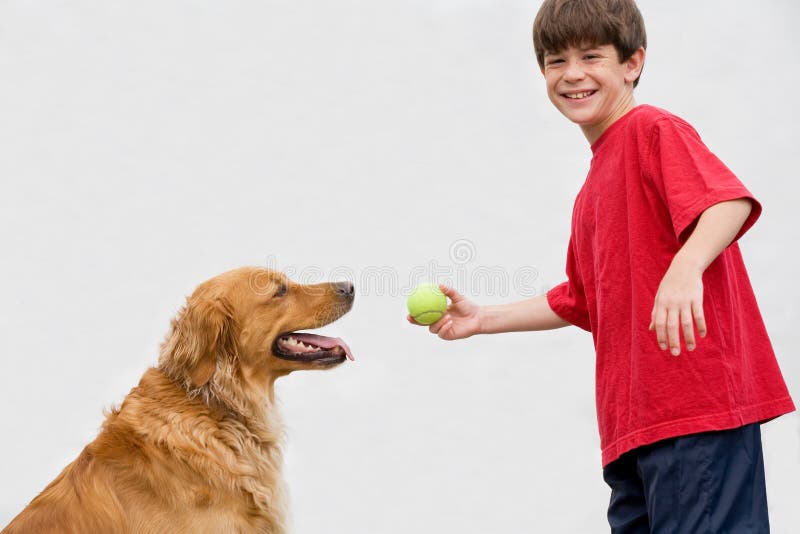 Junge, Der Fang Mit Hund Spielt Stockbild Bild von tiere, junge 8929619
