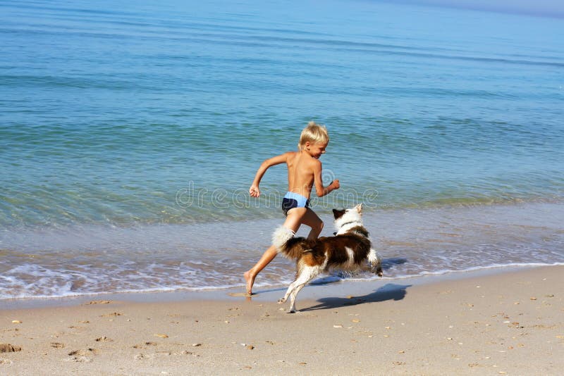 Junge, der Hund spielt stockfotos Junge, der Hund spielt stockfotos