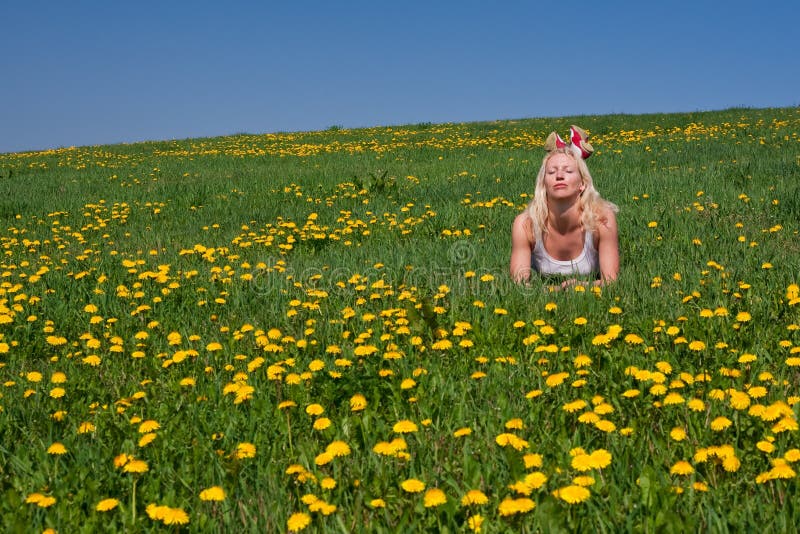 Junge Frau, Die Auf Einer Wiese Liegt Stockbild Bild von lebensstile
