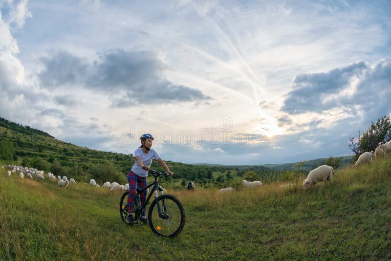 Junge Frau, die ihr Fahrrad auf eine ländliche Spur reitet stockfoto Junge Frau, die ihr Fahrrad auf eine ländliche Spur reitet stockfoto