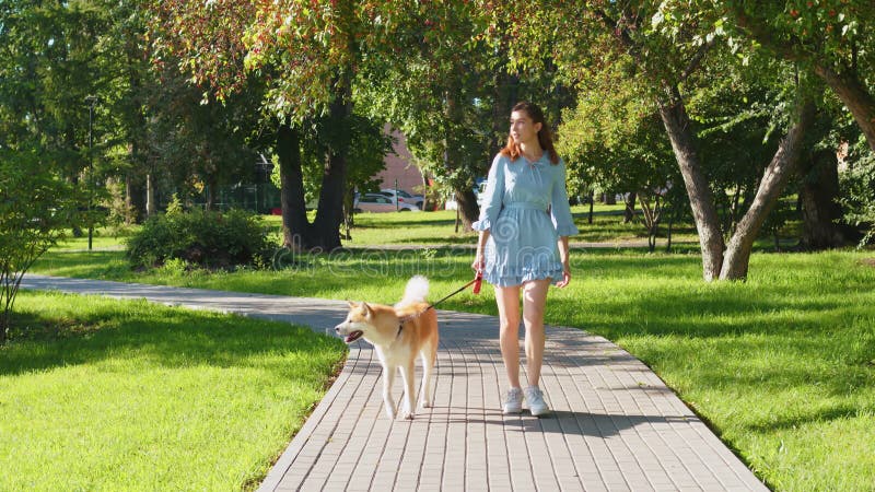 Junge Frau, die im Stadtpark mit akita inu geht