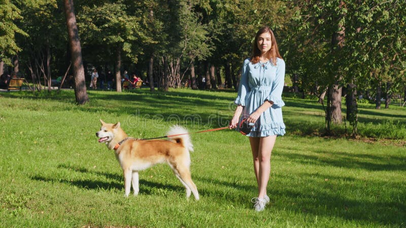 Junge Frau, die sich mit akita inmin in einem städtischen Park posiert