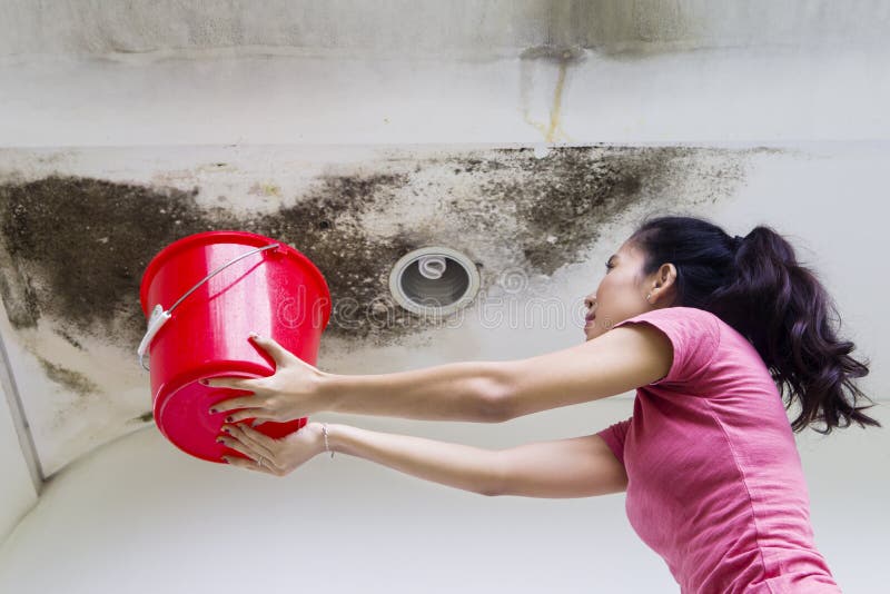 Junge Frau, die Tropfenregenwasser sammelt lizenzfreie stockfotografie Junge Frau, die Tropfenregenwasser sammelt lizenzfreie stockfotografie