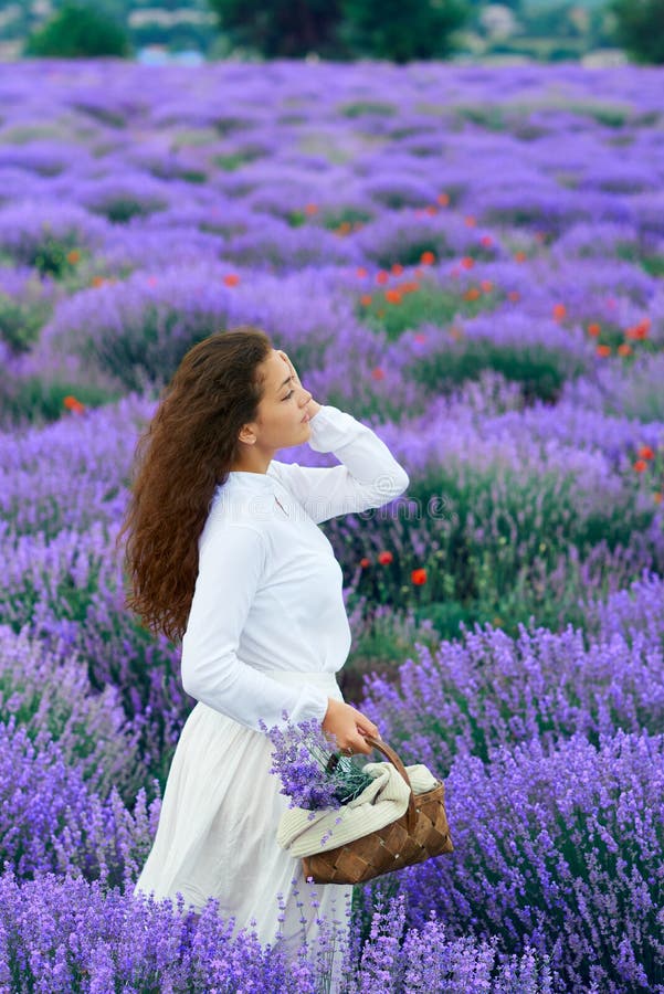 Junge Frau ist auf dem Lavendelblumengebiet, sch?ne Sommerlandschaft lizenzfreie stockfotografie Junge Frau ist auf dem Lavendelblumengebiet, sch?ne Sommerlandschaft lizenzfreie stockfotografie