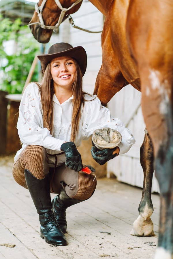 Junge Frau in Reitkleidung Und Hut Reiten Braunes Pferd in Grünem Feld  Stockfoto - Bild von mode, mitfahrer: 223500834