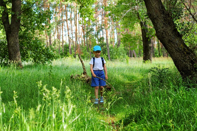 Junge geht durch den Wald lizenzfreie stockfotos Junge geht durch den Wald lizenzfreie stockfotos