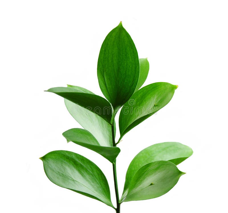 Gas stockfoto. Bild von kontraste, dunkel, energie, schwarzes - 8102670