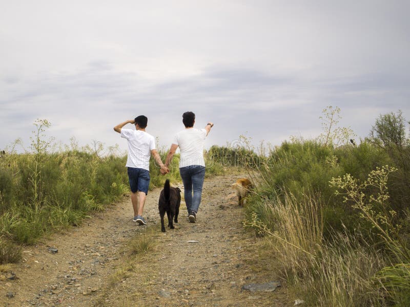Junge homosexuelle Paare, die mit zwei Hunden in der Hand spazieren lizenzfreies stockbild Junge homosexuelle Paare, die mit zwei Hunden in der Hand spazieren lizenzfreies stockbild
