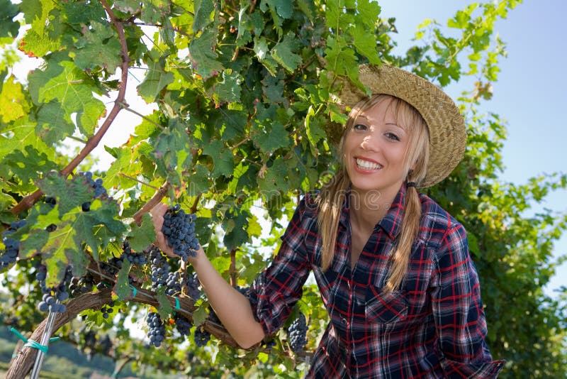 Young peasant woman smiling with grape in hand among the vineyards. Young peasant woman smiling with grape in hand among the vineyards