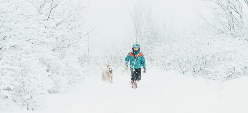 Junge mit dem Hund, der in Winter geht stockfotografie Junge mit dem Hund, der in Winter geht stockfotografie