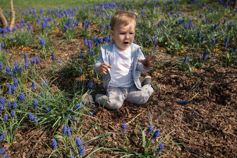 Junge Mutter, die im Fr?hjahr mit einem Babysohn auf einer Muscarifeld spielt und spricht - sonniger Tag - Traubenhyazinthe - Rig lizenzfreies stockbild Junge Mutter, die im Fr?hjahr mit einem Babysohn auf einer Muscarifeld spielt und spricht - sonniger Tag - Traubenhyazinthe - Rig lizenzfreies stockbild