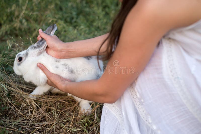 Junge Mädchen in einem weißen Kleid, übernimmt die Ohren eines weißen Hauskaninchen, vor dem Hintergrund von Heu stockbilder Junge Mädchen in einem weißen Kleid, übernimmt die Ohren eines weißen Hauskaninchen, vor dem Hintergrund von Heu stockbilder