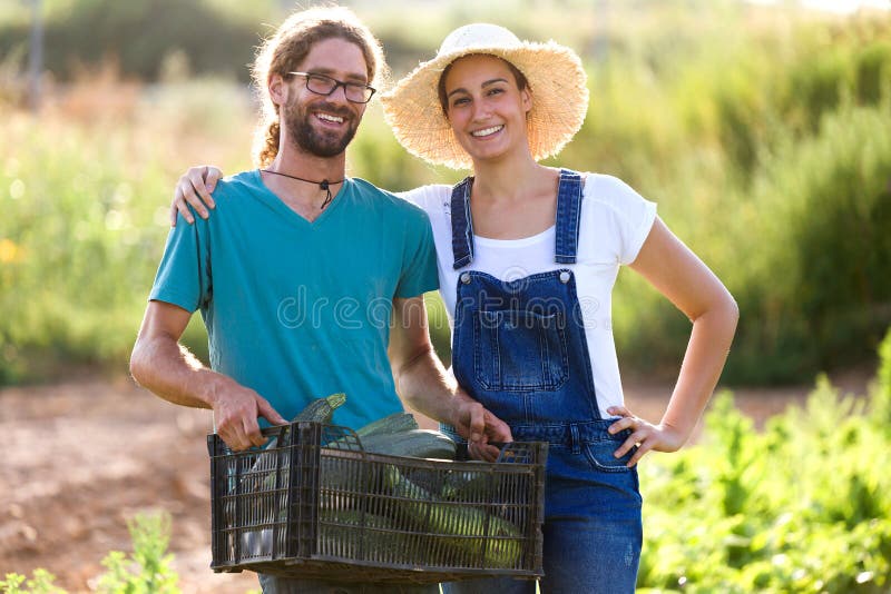 Junge Paare des Gartenkünstlers, die Kamera beim Halten des Frischgemüses in der Kiste im Garten betrachten stockbild Junge Paare des Gartenkünstlers, die Kamera beim Halten des Frischgemüses in der Kiste im Garten betrachten stockbild