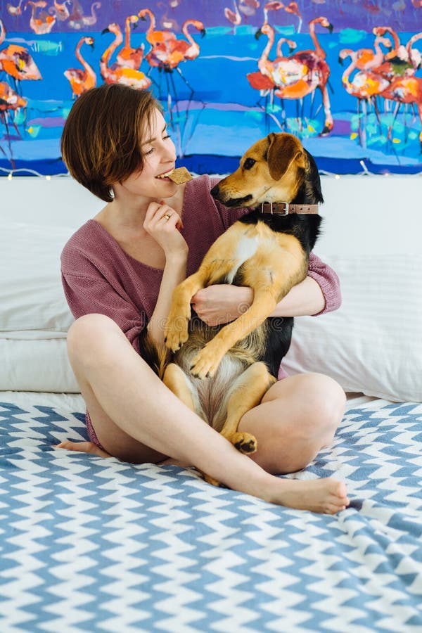 Junge positive Frau, die zu Hause mit dem Schoßhund Innen spielt Lustiger weiblicher haltener Keks im Mund und im Umarmen ihres K stockbild Junge positive Frau, die zu Hause mit dem Schoßhund Innen spielt Lustiger weiblicher haltener Keks im Mund und im Umarmen ihres K stockbild