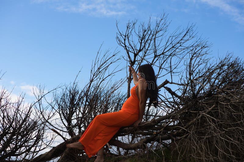 Junge schöne brunette Frau in elegantem orangefarbenem Kleid entspannt auf dem Kofferraum eines trockenen Baumes auf dem Boden lie stockfotografie