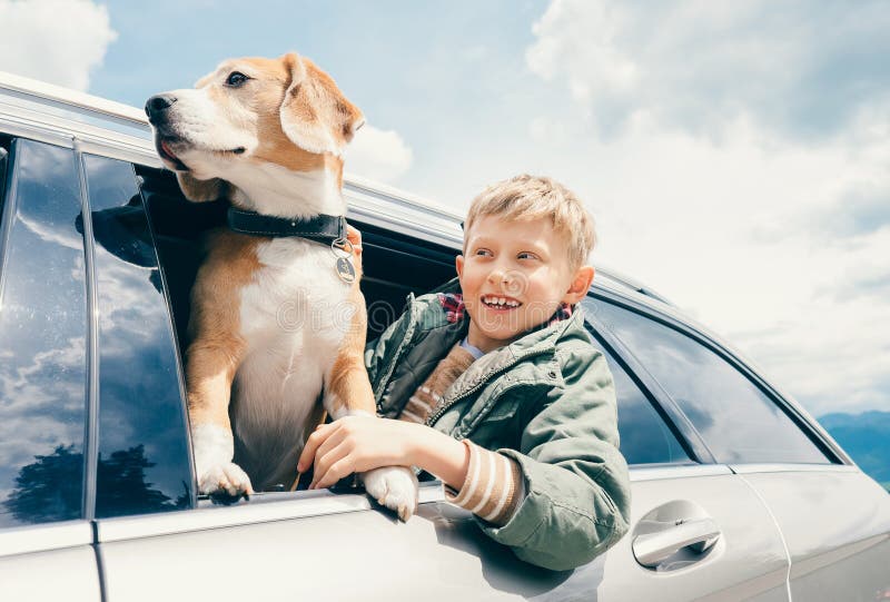 Junge und Hund schauen heraus vom Autofenster