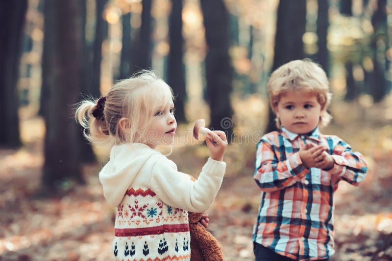 Junge und Mädchen auf Waldweg für Pilze Kindergriffpilz in der Hand stockfoto Junge und Mädchen auf Waldweg für Pilze Kindergriffpilz in der Hand stockfoto