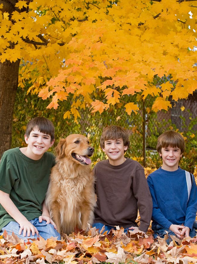 Jungen in den Fall-Blättern lizenzfreie stockfotos Jungen in den Fall-Blättern lizenzfreie stockfotos
