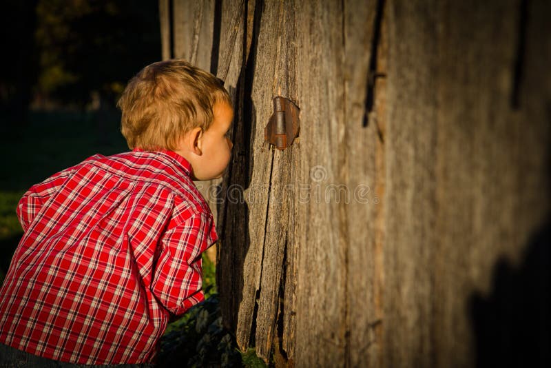 A young farmer boy peeks inside a barn. A young farmer boy peeks inside a barn