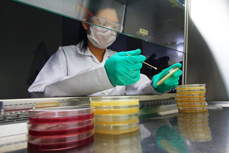 Junger asiatischer Wissenschaftler, der Mikrobentests im Labor - Reihe 3 durchführt
