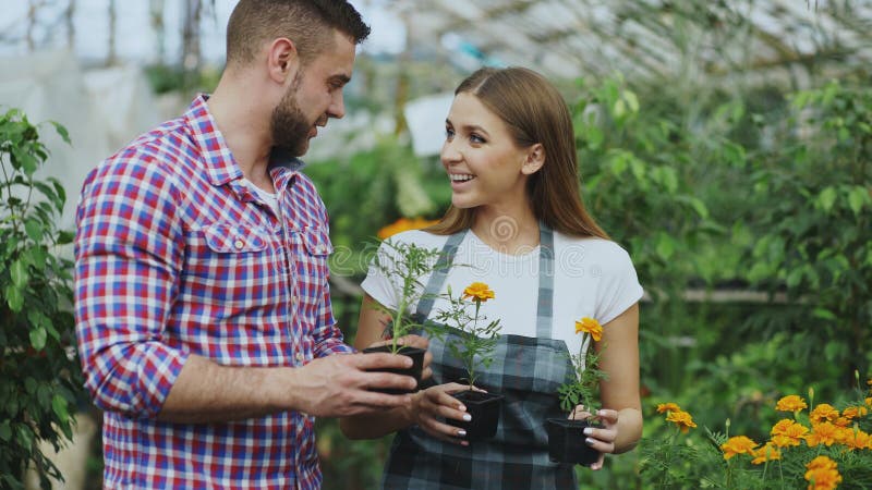 Junger freundlicher Frauenflorist, der mit Kunden spricht und ihm Rat beim Arbeiten in Garten-Center gibt lizenzfreies stockbild Junger freundlicher Frauenflorist, der mit Kunden spricht und ihm Rat beim Arbeiten in Garten-Center gibt lizenzfreies stockbild