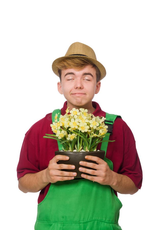 Junger Gärtner Mit Der Blume Lokalisiert Auf Weiß Stockbild Bild von