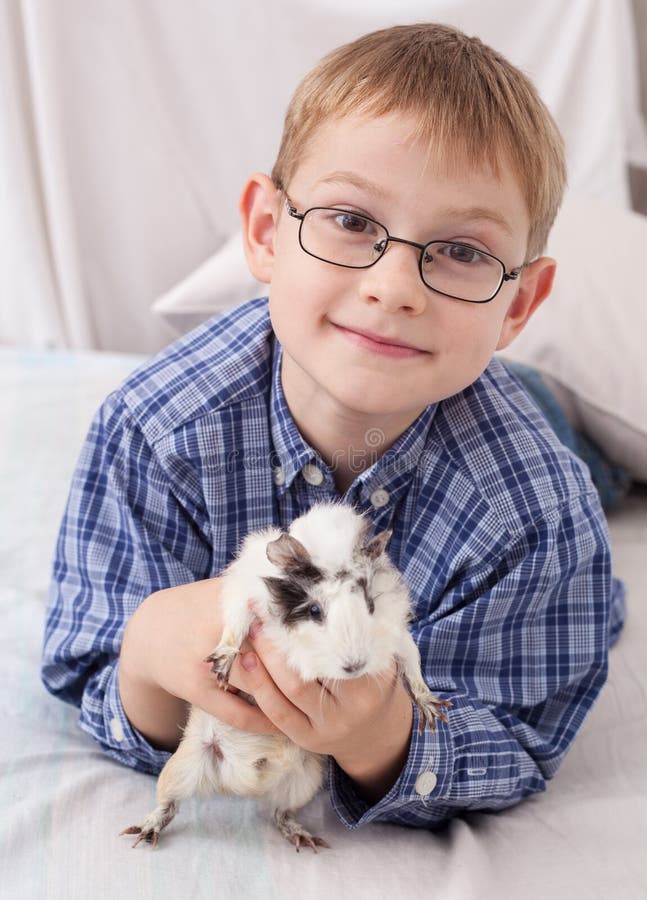 junger junge mit meerschweinchen stockfoto bild von junger junge mit meerschweinchen stockfoto bild von