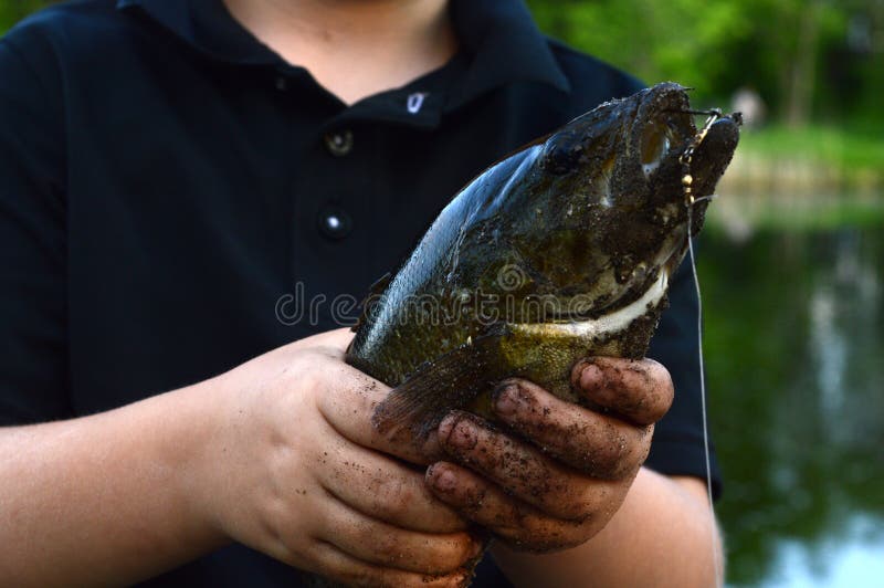 Junger stolzer Fischer With Bass Catch. Ein Junge zeigt der Kamera seinen Forellenbarsch, dass er fing