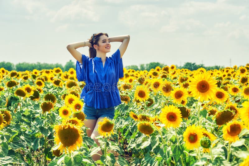 Junges attraktives Mädchen auf dem Gebiet mit Sonnenblumen lizenzfreie stockfotografie Junges attraktives Mädchen auf dem Gebiet mit Sonnenblumen lizenzfreie stockfotografie