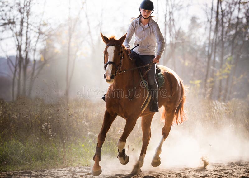 Junges hübsches Mädchen - ein Pferd mit hintergrundbeleuchteten Blättern hinten reiten stockfotografie Junges hübsches Mädchen - ein Pferd mit hintergrundbeleuchteten Blättern hinten reiten stockfotografie