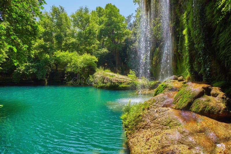 Jungle beautiful waterfall Mountain river stream - Landscape waterfall front of the cave green forest nature plant tree rainforest