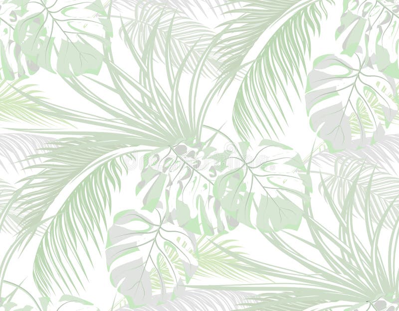 jungle fond des feuilles des paumes tropicales, monstre, agave seamless D'isolement sur le blanc Illustration illustration de vecteur jungle fond des feuilles des paumes tropicales, monstre, agave seamless D'isolement sur le blanc Illustration illustration de vecteur
