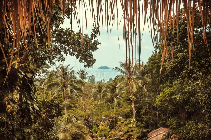 Jungle forest and ocean with small island in perspective. Tropical view from lush green trees and blue sea in distance