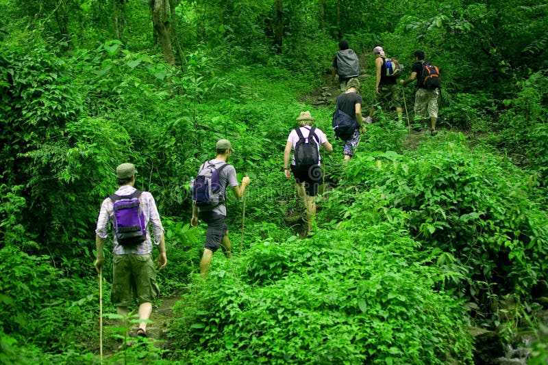 Gruppo di escursionisti escursione attraverso la foresta verde.