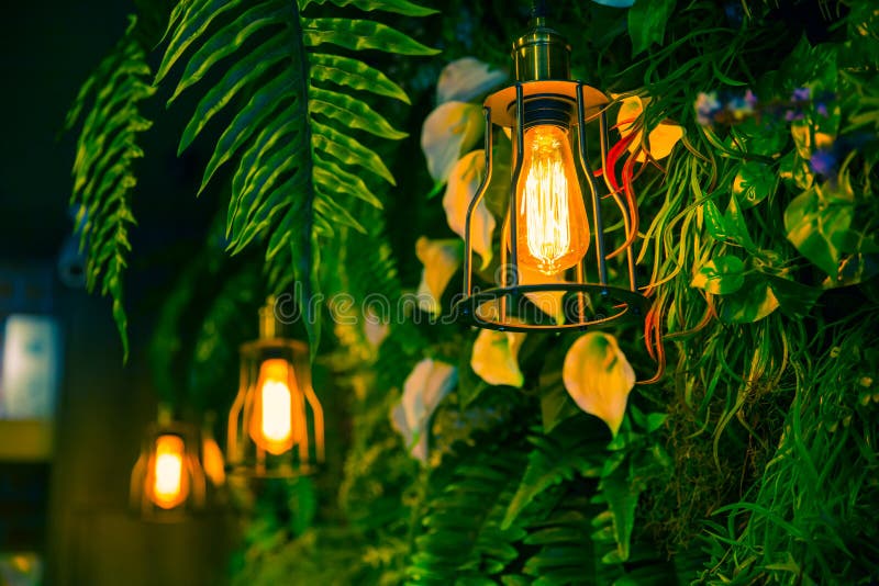 Jungle lamp in the forest green plant cafe decoration