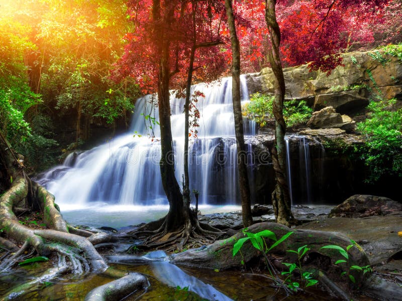 Jungle landscape with wonderful waterfall