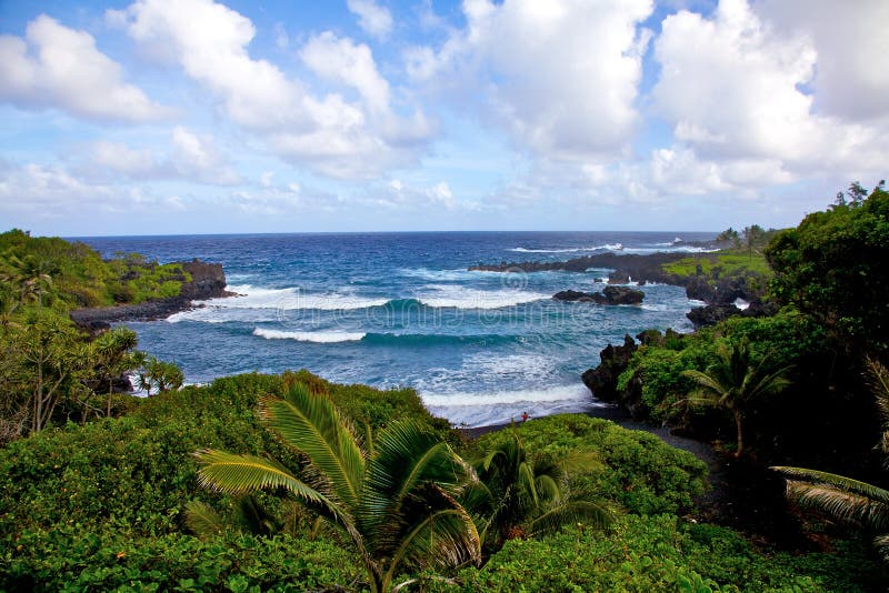 Jungle and sea in Hawaii