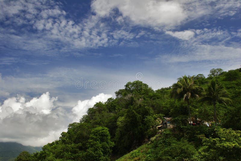 Jungle and sky of Cuba stock image