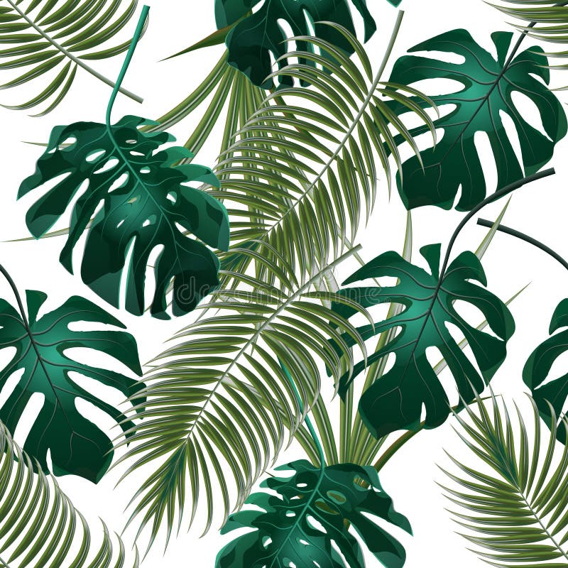 Jungle thickets of tropical palm leaves and monstera. Seamless floral pattern. Isolated on a white background royalty free illustration